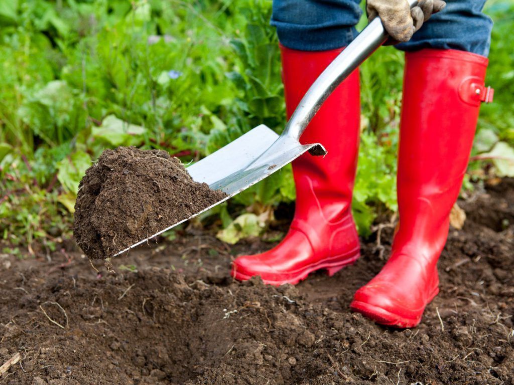 Gardening as exercise