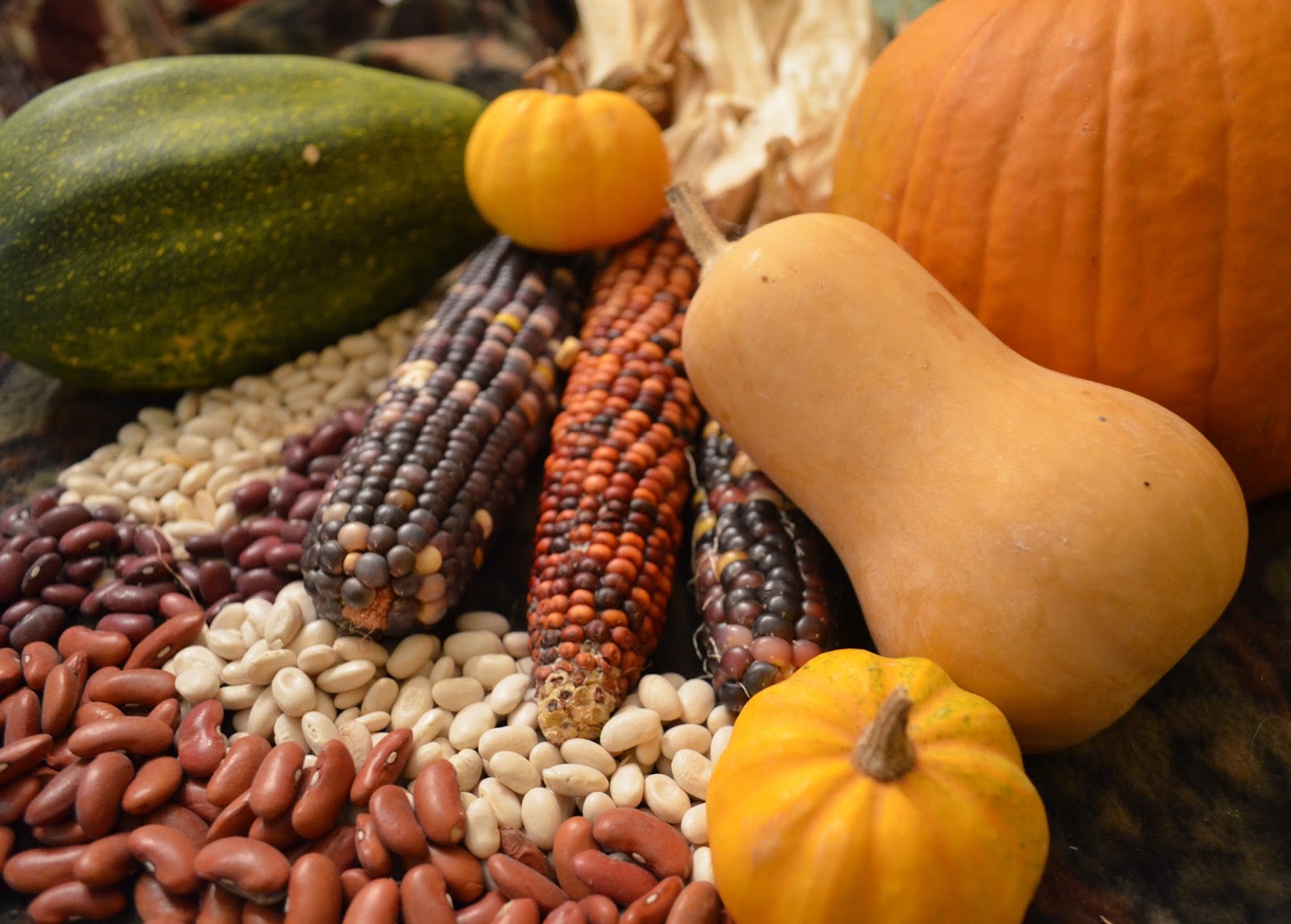 Three Sisters: corn, squash, and beans