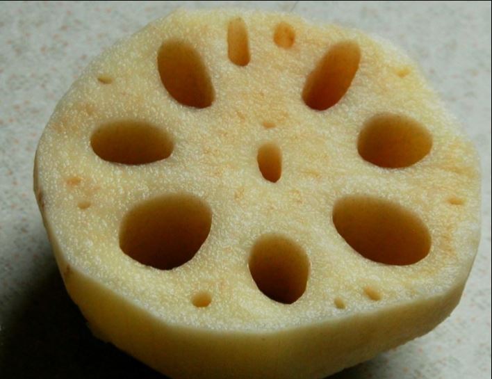 Yonkapin Lotus Root
